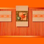 Le Black Friday d'Amazon France